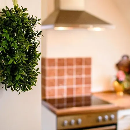Gemuetliche In Mit Garten Bracht